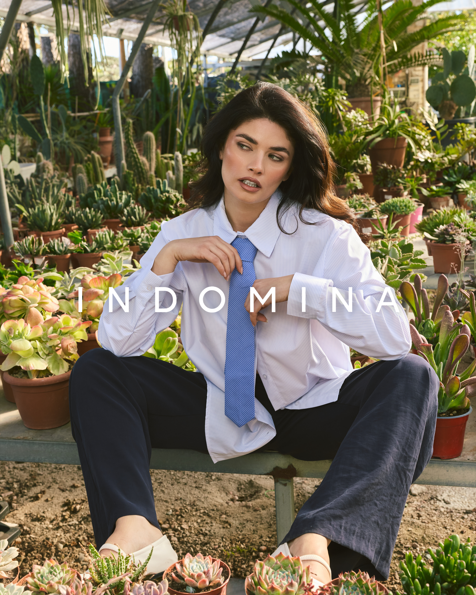 Must Have Collection